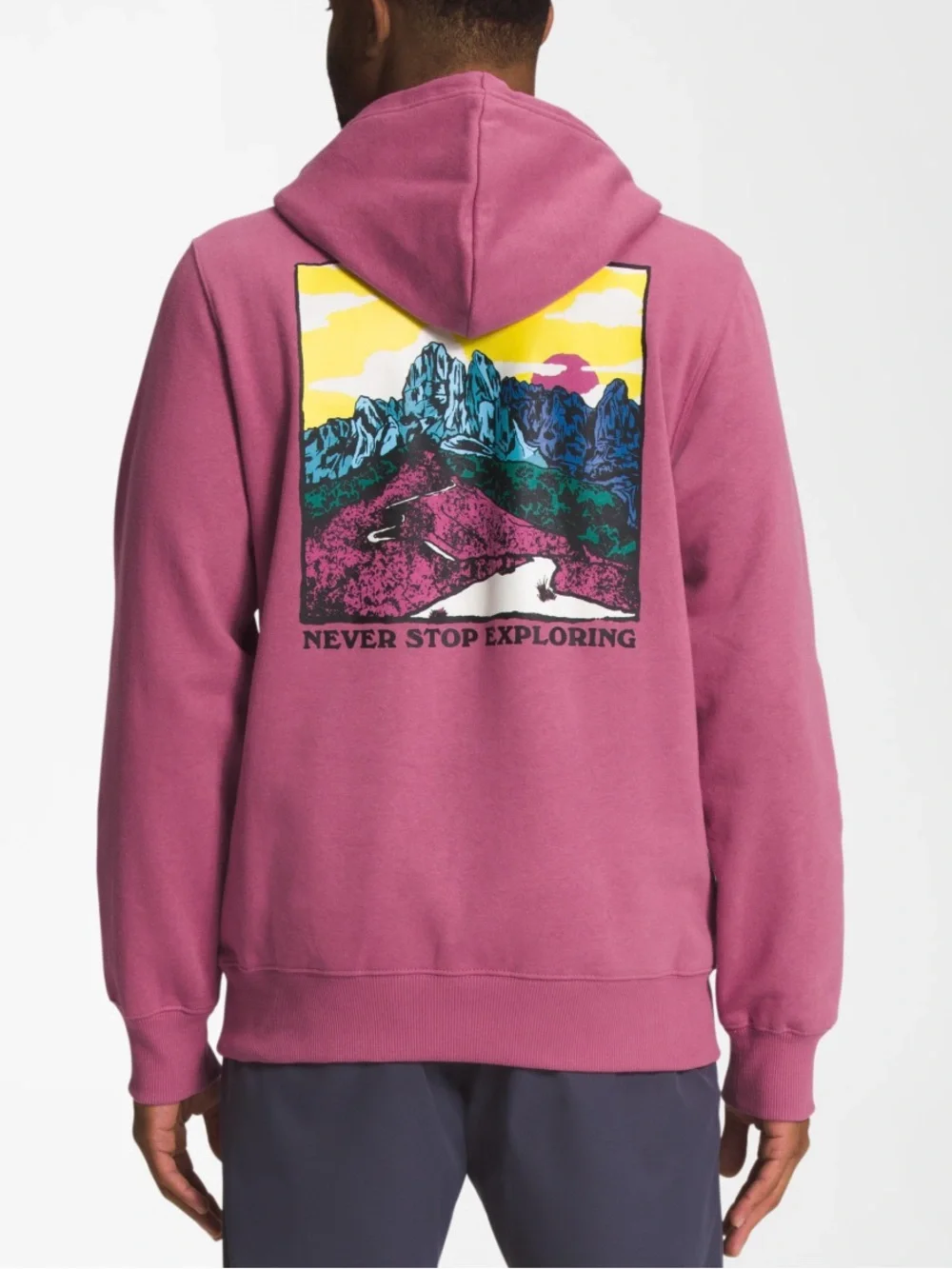 The North Face hoodie sweatshirt pink Graphic hoodie small